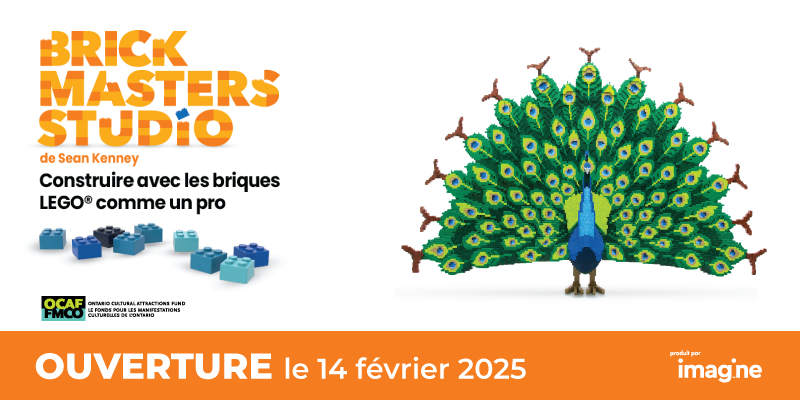 photo d'un paon en lego à côté de briques lego ; ouverture le 14 février 2025