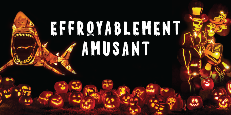 l'halloween 2024 à terre dynamique — effroyable amusant!