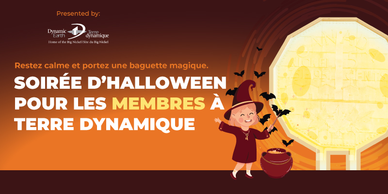 restez calme et portez une baguette magique — soirée d'halloween pour les membres à terre dynamique!