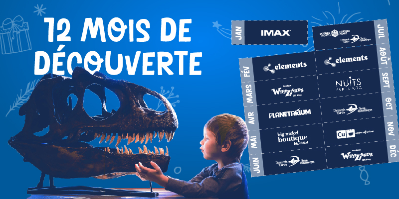 livre avec crâne de dinosaure à côté d'un carnet de coupons