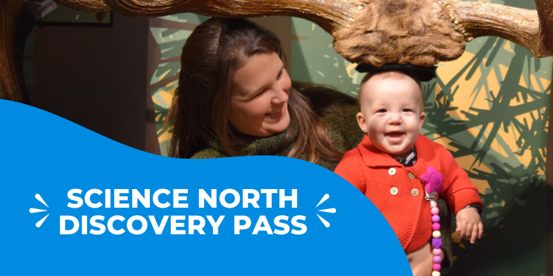 science north discovery pass; mother with infant child at moose antlers
