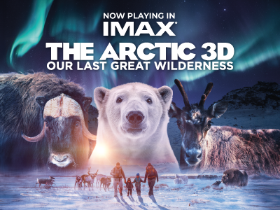 the arctic 3D our last great wilderness in imax