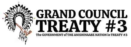 grand council treaty #3 logo