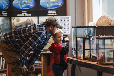 father and son in the nature centre