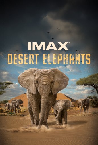 desert elephants movie poster