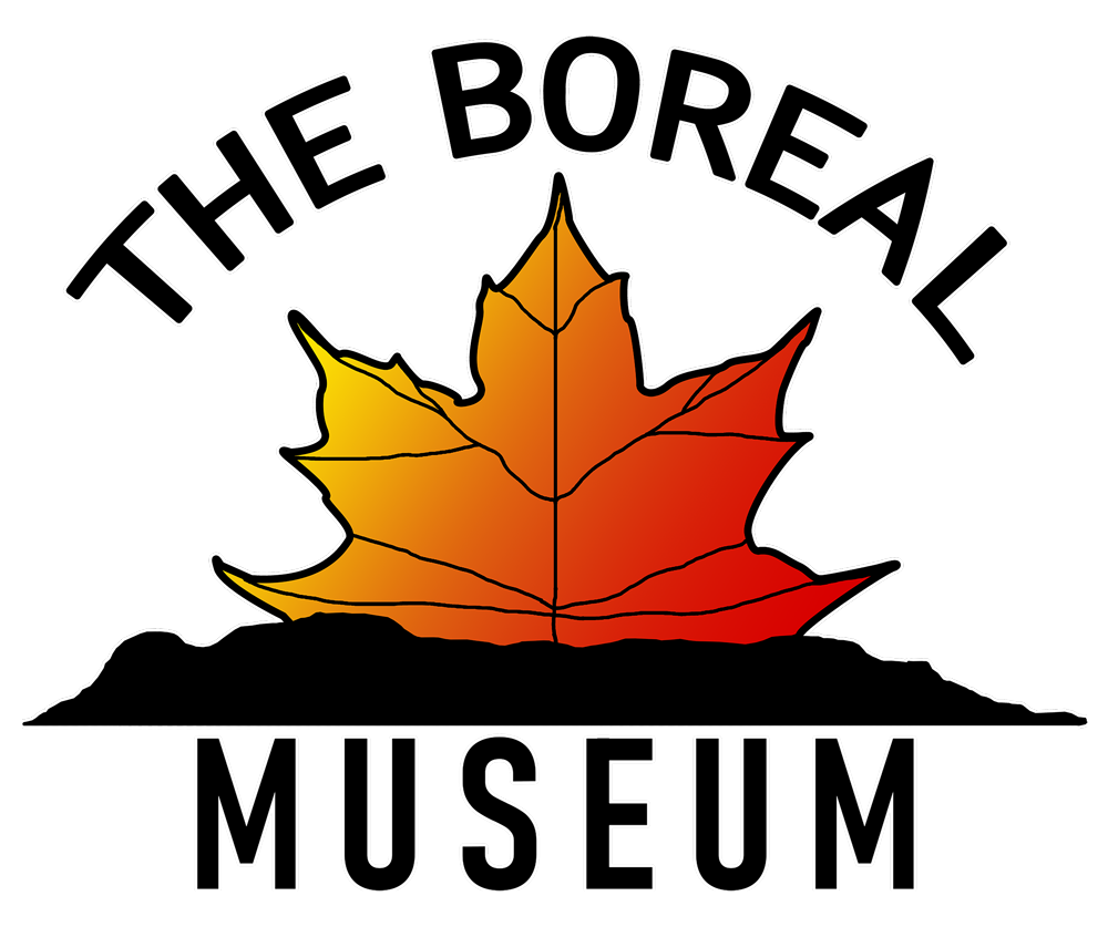 logo de boreal museum