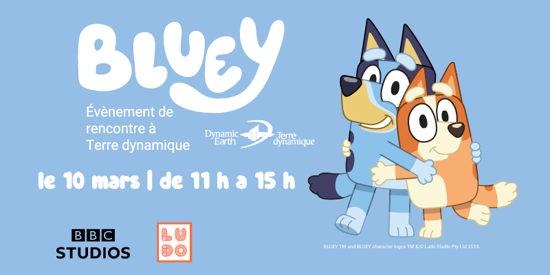 photo de bluey et bingo ; rencontre et accueil à terre dynamique, le 10 mars, de 11h à 15h