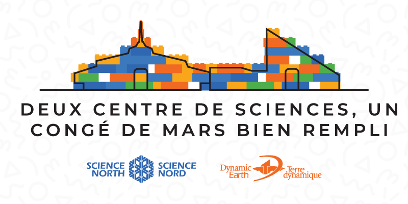 dessins de science nord et de terre dynamique remplis de briques lego