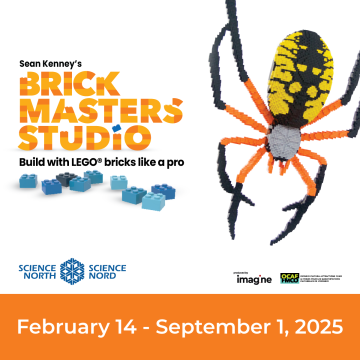 spider made of lego bricks