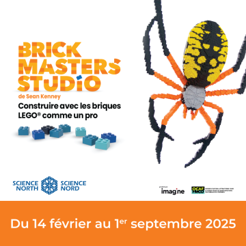 araignée en briques lego