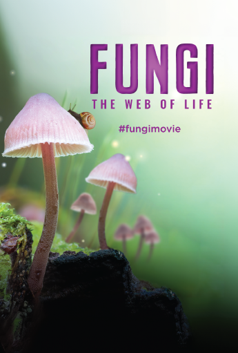 fungi web of life in imax