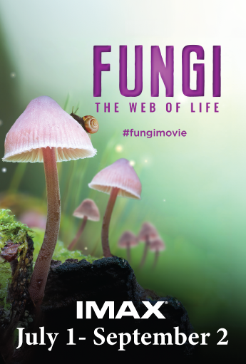 fungi web of life in imax