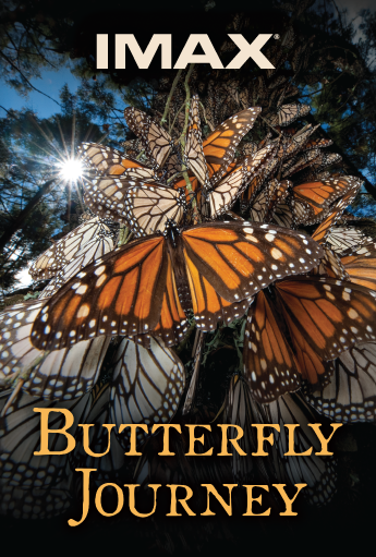 butterfly journey movie poster