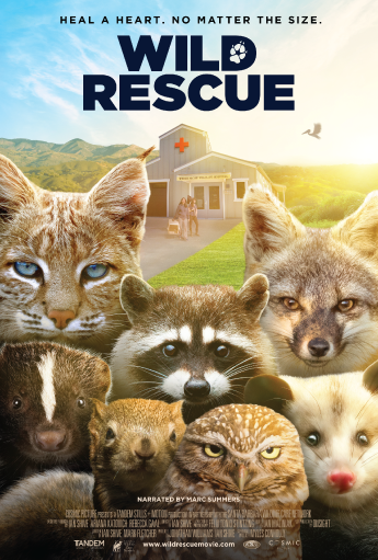 wild rescue movie poster